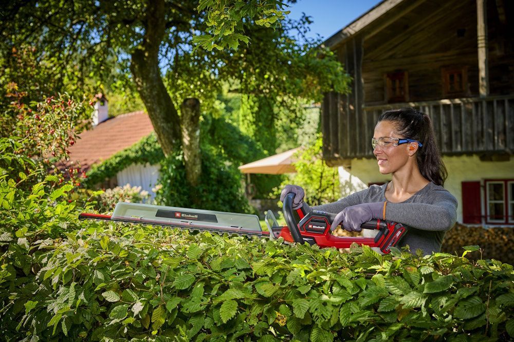 Person schneidet Hecke mit Heckenschere